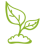sprout